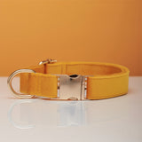 Dog Collar Dog Leash Hand Holding Rope Collar Collar
