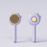 Cat Comb Massage Pet Magic Combs Hair Removal Cat And Dog Brush Pets Grooming