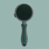 2 In 1 Double Side Cat Brushes For Indoor Cats Shedding