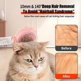 Spray Cat Brushes For Indoor Cats With Release Button Cat Brush