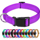 Outdoor Dog Collars For Large Medium And Small Dogs