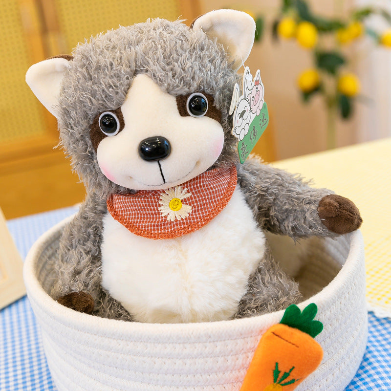 Raccoon Dolls Dolls Wholesale Plush Toys
