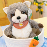 Raccoon Dolls Dolls Wholesale Plush Toys