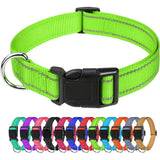 Outdoor Dog Collars For Large Medium And Small Dogs