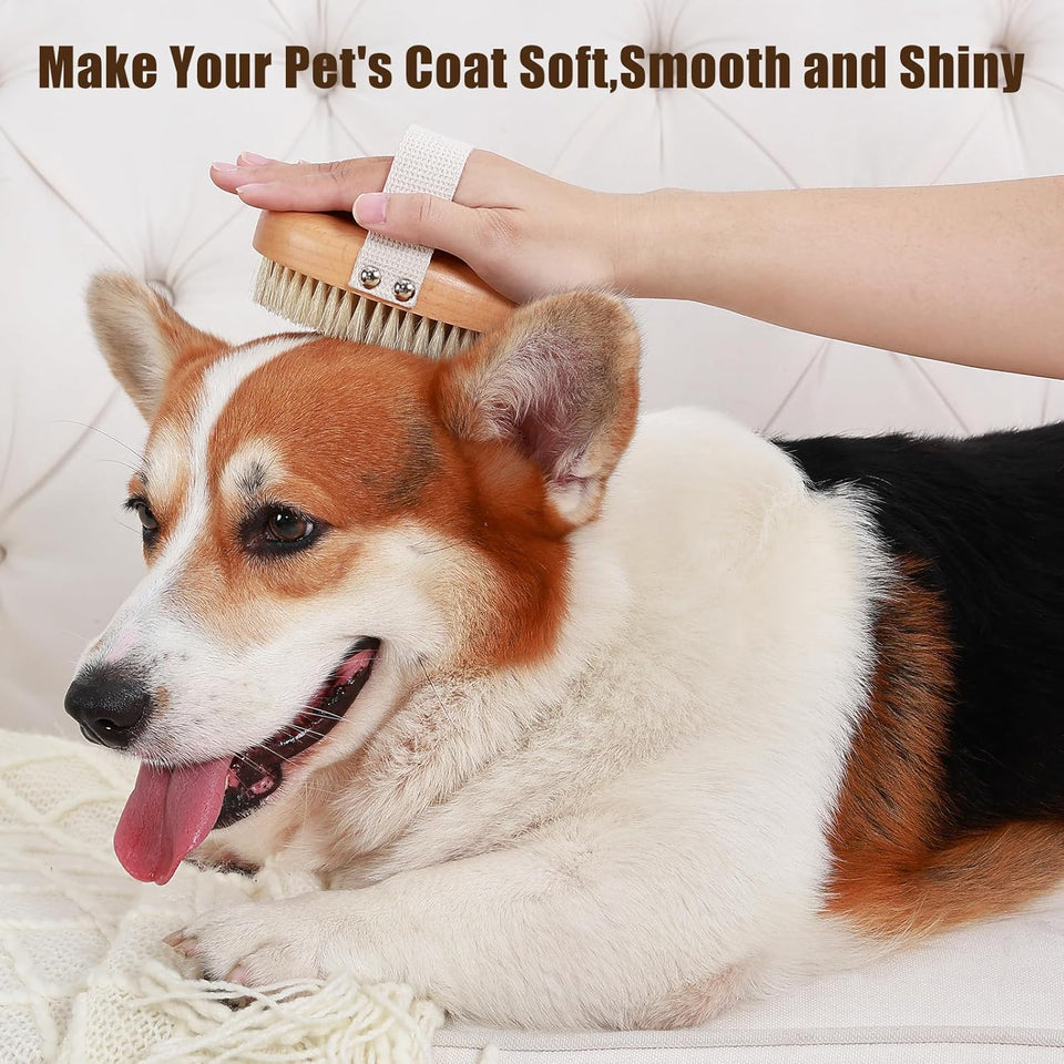 Soft Boar Bristle Pet Palm Brush For Short Haired Dogs And Cats
