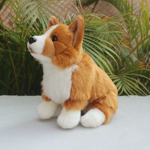 Simulated Corgi Dog Puppy Doll Plush Toy