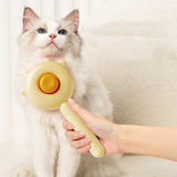 Cat Comb Massage Pet Magic Combs Hair Removal Cat And Dog Brush Pets Grooming