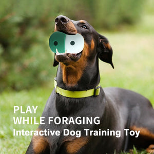 Pet Puzzle Toy Dog Treat Dispensing Cute Puppy Small Medium Dogs