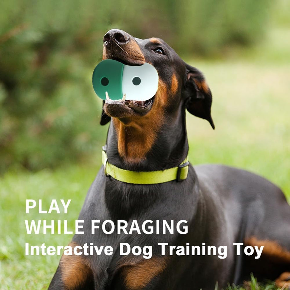 Pet Puzzle Toy Dog Treat Dispensing Cute Puppy Small Medium Dogs