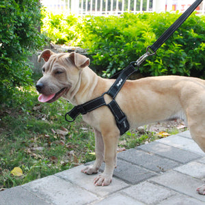 Pet Dog Night Reflective Chest Strap Collar