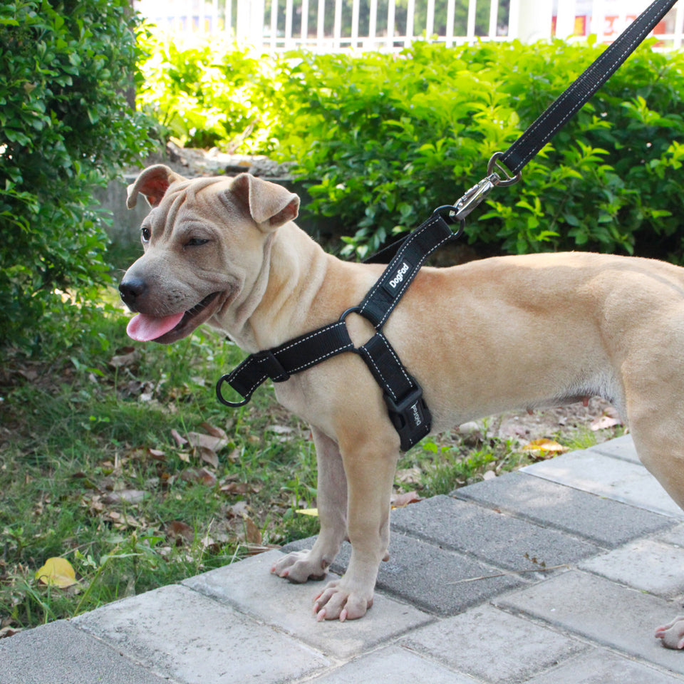 Pet Dog Night Reflective Chest Strap Collar