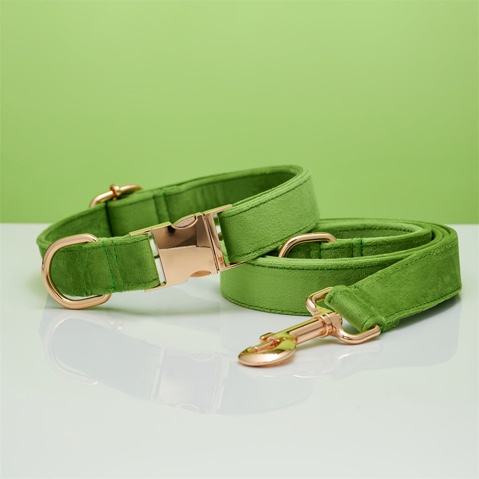 Dog Collar Dog Leash Hand Holding Rope Collar Collar