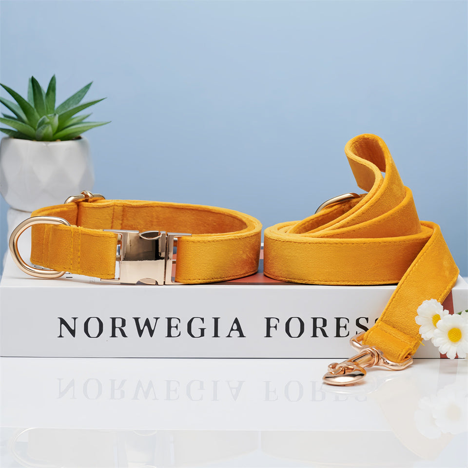 Dog Collar Dog Leash Hand Holding Rope Collar Collar