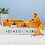 Dog Collar Dog Leash Hand Holding Rope Collar Collar
