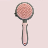 2 In 1 Double Side Cat Brushes For Indoor Cats Shedding