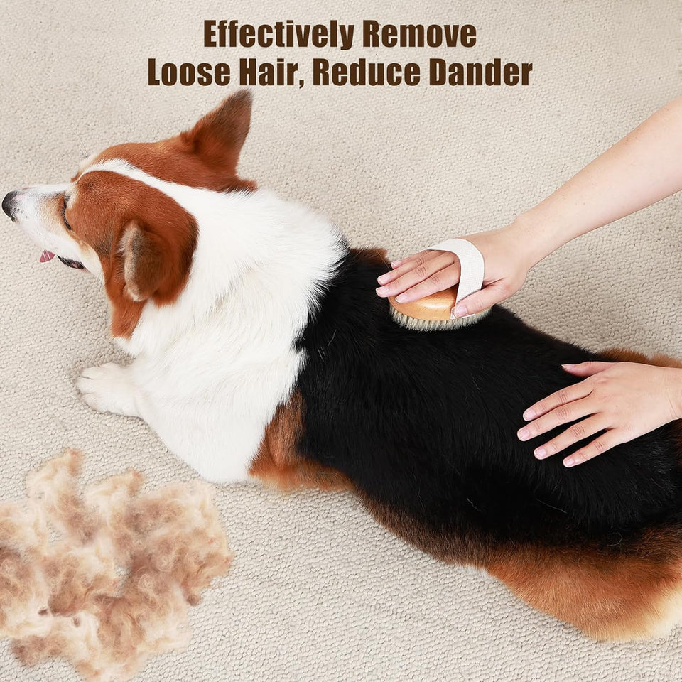 Soft Boar Bristle Pet Palm Brush For Short Haired Dogs And Cats