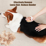 Soft Boar Bristle Pet Palm Brush For Short Haired Dogs And Cats