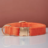 Dog Collar Dog Leash Hand Holding Rope Collar Collar